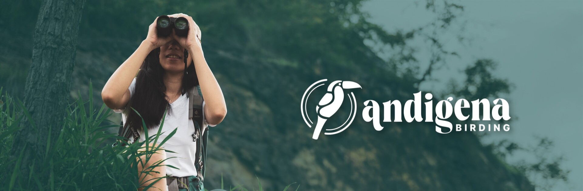 Andigena Birding